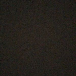 Meet your Posher, Rosa